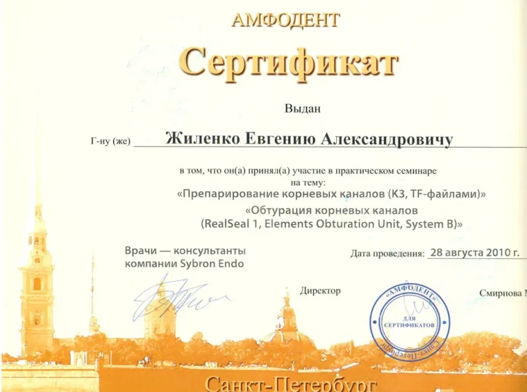 Жиленко Евгений Александрович - сертификат